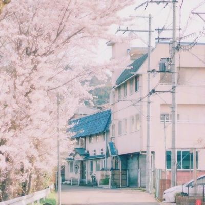 褚云攀叶棠采